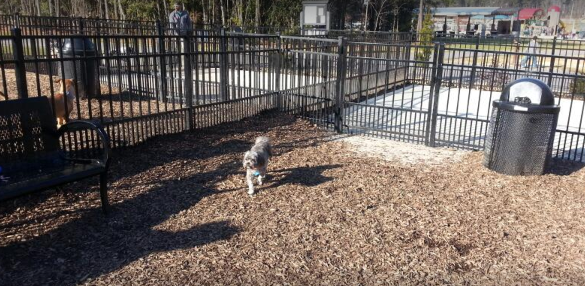 Ashley Wilder Dog Park dog park