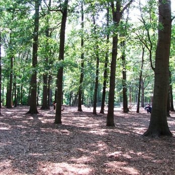 Oakwood Dog Park dog park