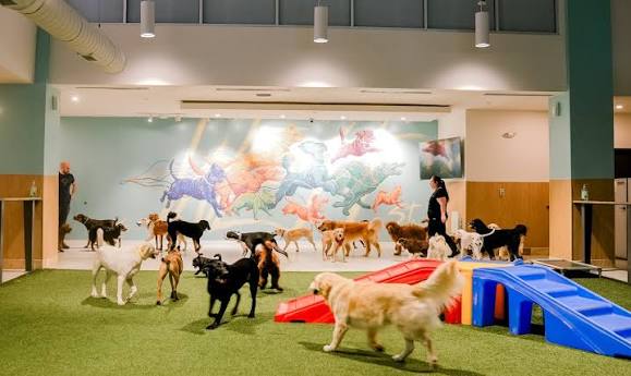 West Street Dog dog park